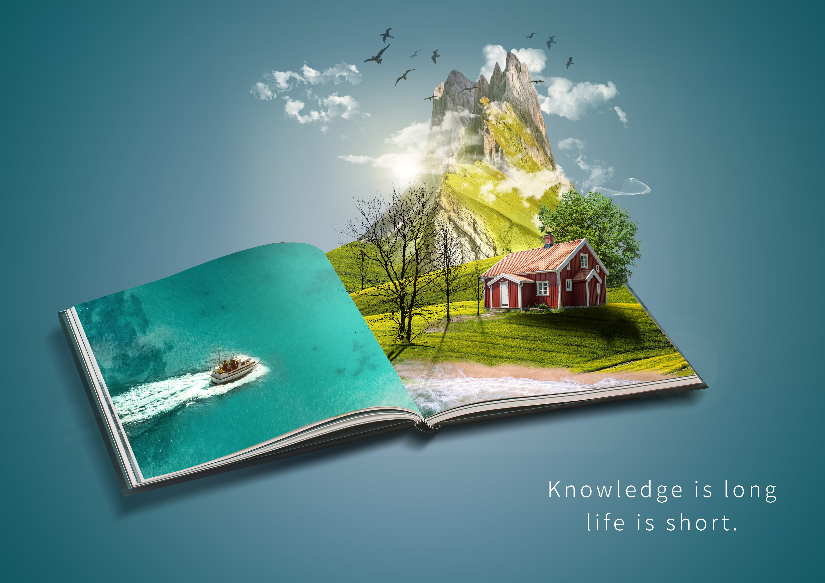 「書」了嗎？開始從書獲得世界吧！｜Dot．Design